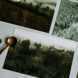 Set of cards I MANI MEŽI